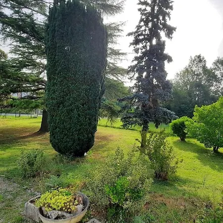 La Maison De Lili Colayrac-Saint-Cirq