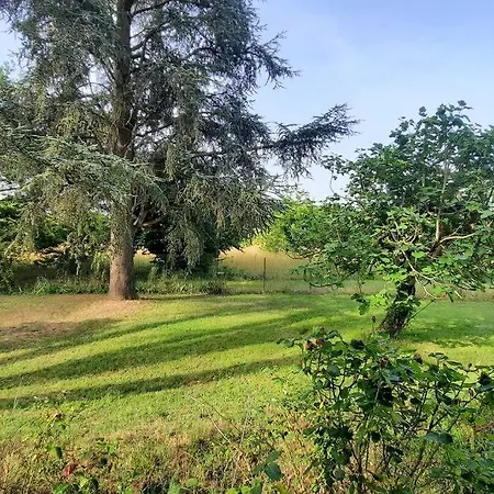 La Maison De Lili 別荘 Colayrac-Saint-Cirq